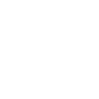 LloydChristmasBR's emblem
