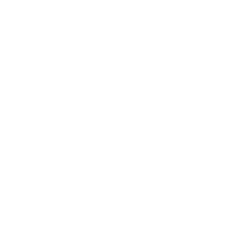 valter_mind's emblem