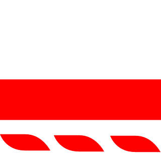 Burzi1's emblem
