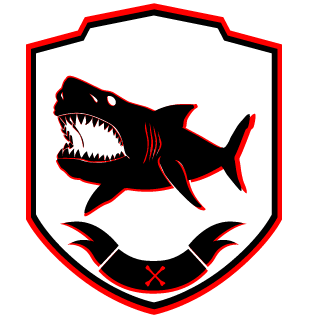 vElementalSpirit's emblem