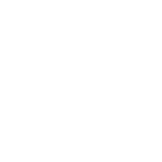 191188P's emblem