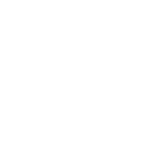 MisterPedroH's emblem