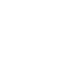 2bdkid's emblem