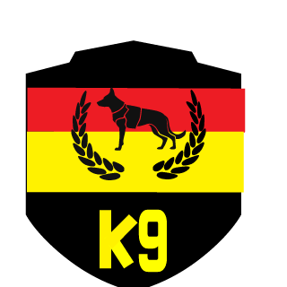 bibmanthemedic's emblem