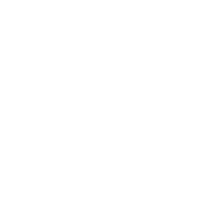 WIPAIM's emblem