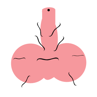 19dolIarcartnite's emblem