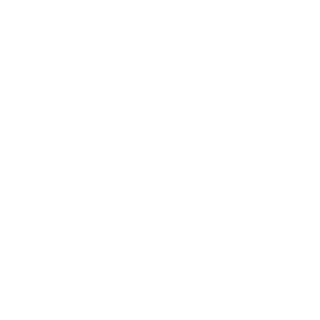 NYCRanger0329's emblem