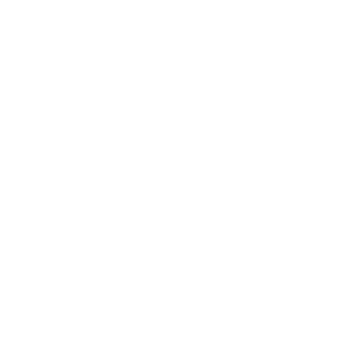 Ayaks213's emblem