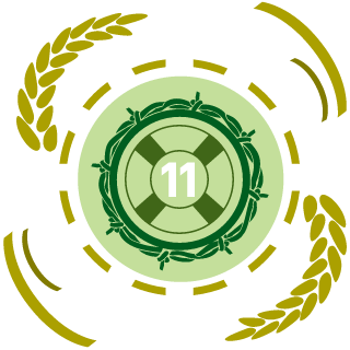 BlindSpider11's emblem