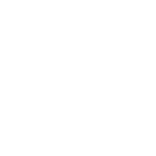 RBS 2009's emblem