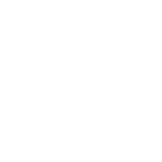 RUS-DE-NL2487's emblem