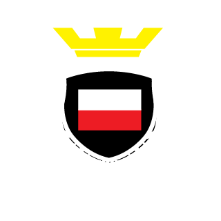 pk0lt0k's emblem
