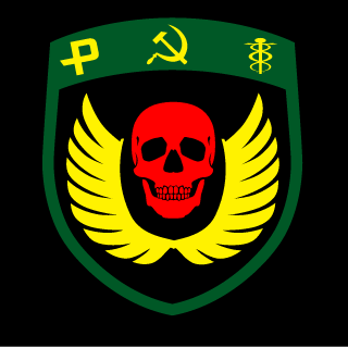 MeYouIdiot's emblem