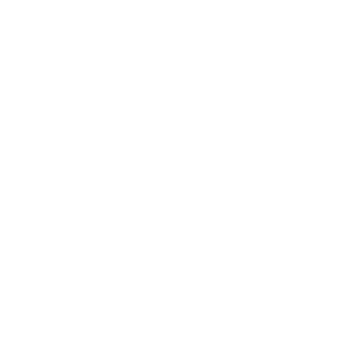 DieselBurnerx's emblem