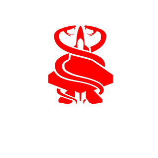 ERIK20012411's emblem