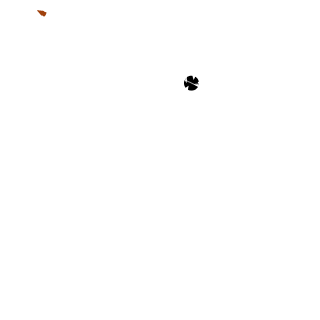 skullhunter1404's emblem