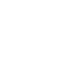 fortis0111's emblem