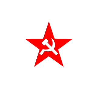 SELEVIOR's emblem