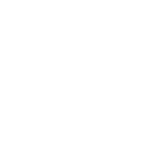 Silogism's emblem