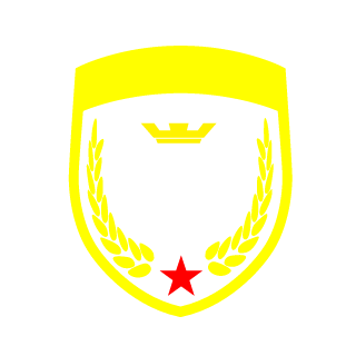 RUS_Kovalenko's emblem