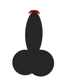 wojcieszk00's emblem