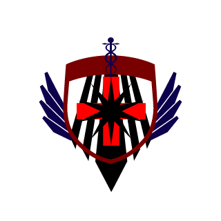 NIGHTSTRIKE30's emblem