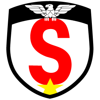 TActicalSurvivalSquad's emblem