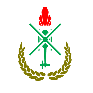 acebanana's emblem