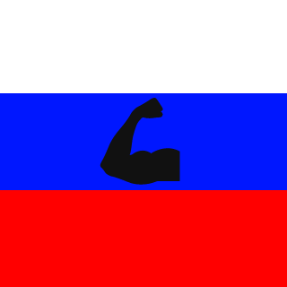 RuslanMraz0301's emblem