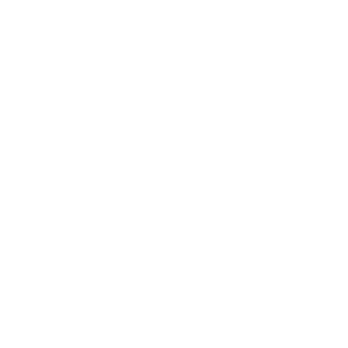 13-kam's emblem