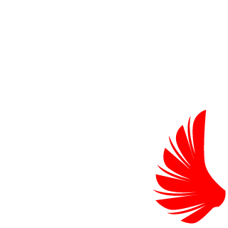 18seiyaxyz's emblem