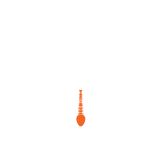 Aditya_Karamoy's emblem