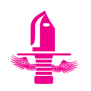 Raynnator's emblem