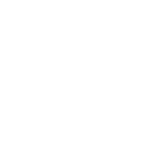 ale99sciclu's emblem