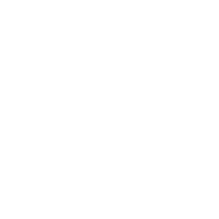 diesEasy's emblem