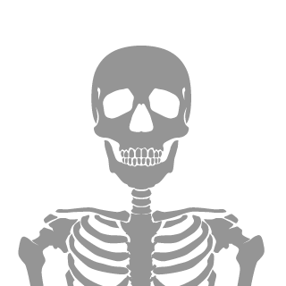 sr_gobIino's emblem