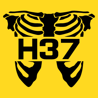 H-37's emblem