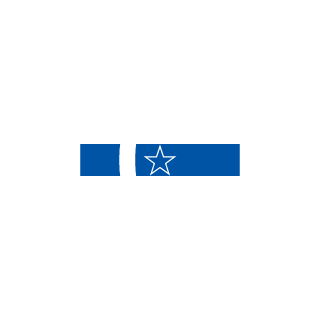 SaltySeafarer's emblem