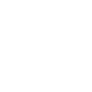 TurboTrippi's emblem