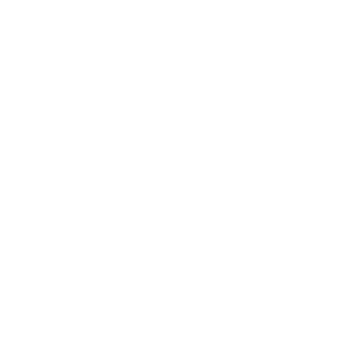 diegoudars1's emblem