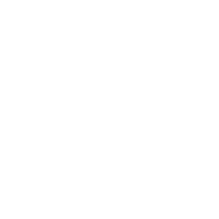 -SARS-nolee98's emblem