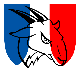 SeltGS's emblem