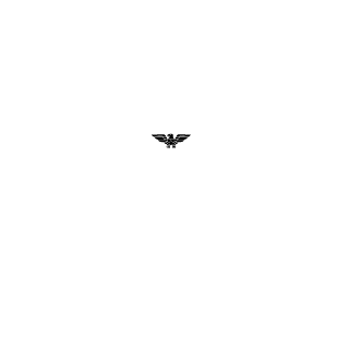 Numfug's emblem