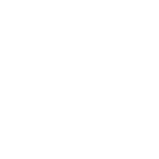 132c4274a0d4fee5's emblem
