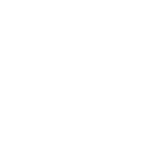 RIOTERS's emblem