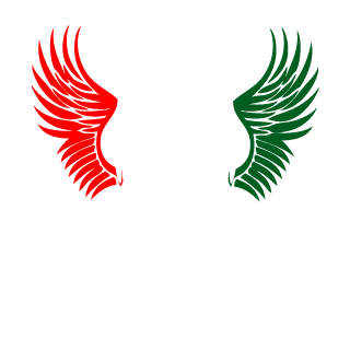 NeuromanceR-hun's emblem