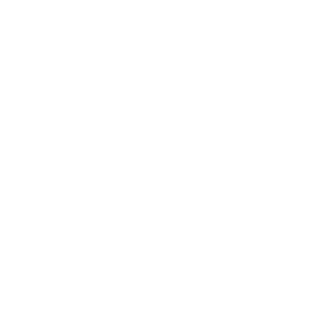 10GrammOtt's emblem