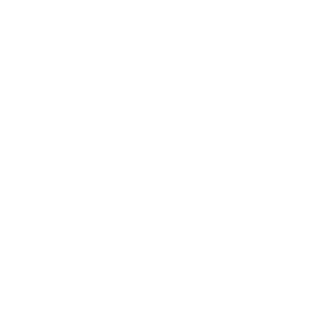 1ZoomZ1's emblem