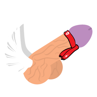 Pau's emblem