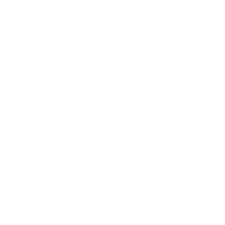 xSlyingx's emblem